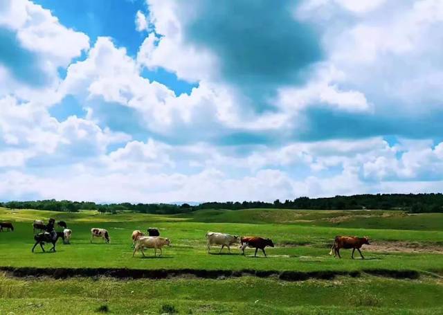 未成年暗 未成年暗老师或专业人士沟通