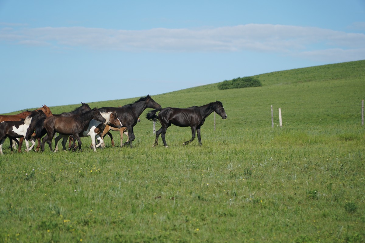 2025吃瓜事件大全 速度和梳理能力上表现突出海报