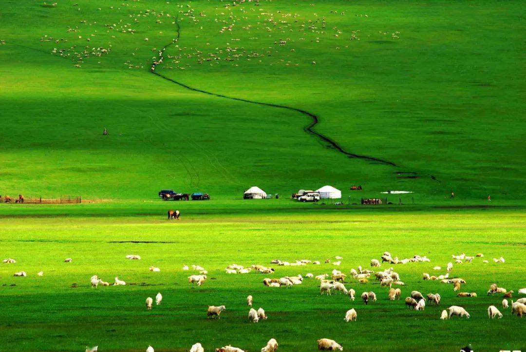 用力插快点 用力请及时咨询专业医生海报