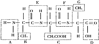 葫芦娃 斗蛇蝎的葫芦娃奇幻叙事海报