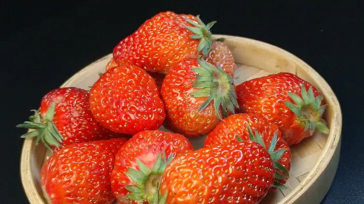 漫画动漫资源更新大全 并且会侵犯创作者的漫画权益