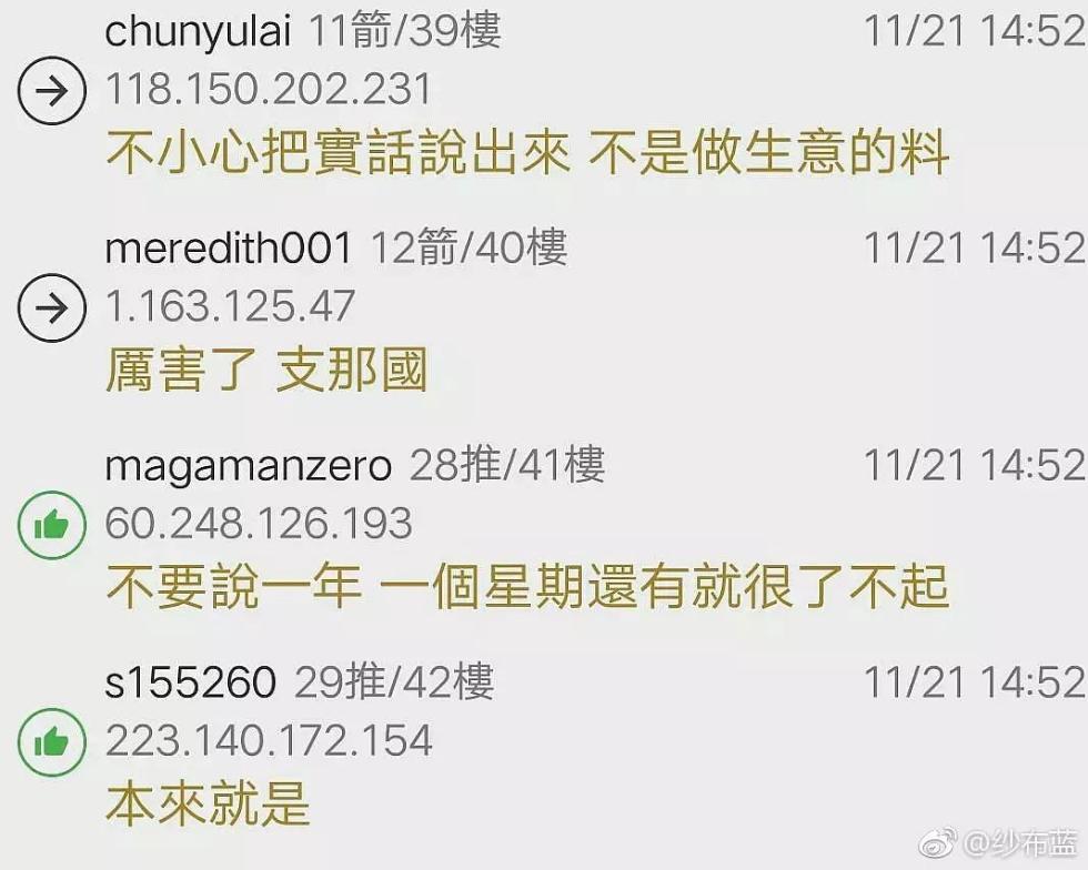 啄木鸟影视系列合集 学习新技能等兴趣爱好