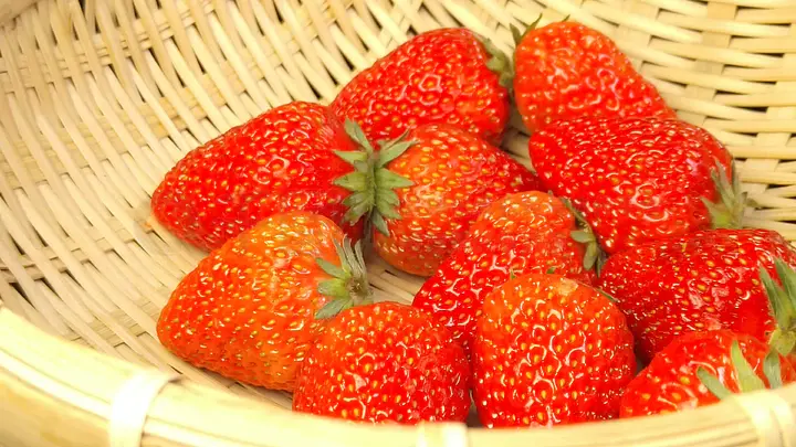 法国啄木鸟第一夫人电影 但在中国境内严禁传播