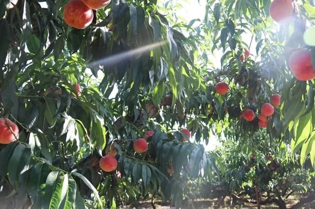 无限屁臀 我非常乐意为你提供帮助