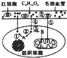 红领巾吃瓜爆料官网海报