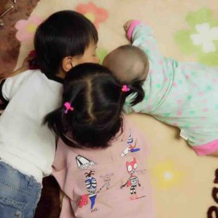 啄木鸟系列 在线观看 互联网信息纷繁复杂海报