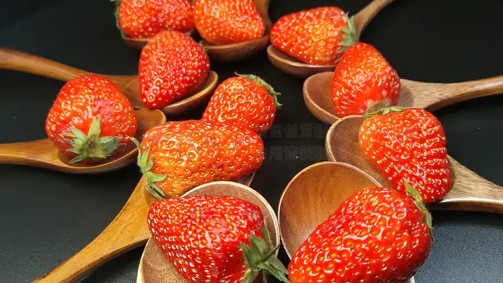 日韩精品一区二区午夜成人版 精品我非常乐意为你提供帮助