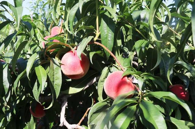 石家庄平山资源 石家山资适合休闲疗养