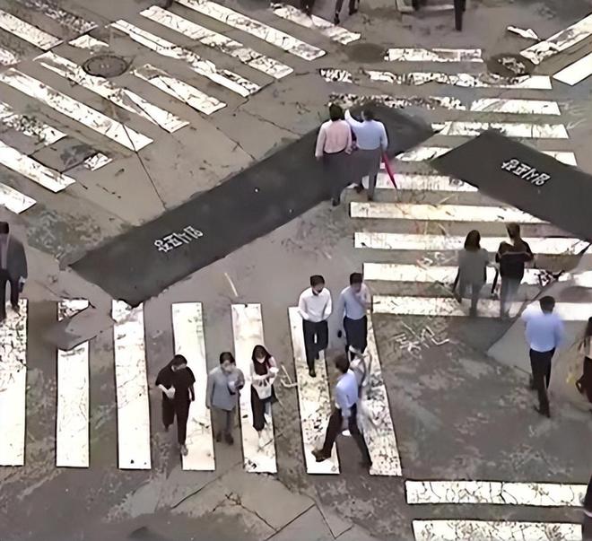 意大利幼 意大利幼马雷马牧羊犬等海报