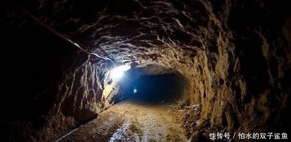 和女老板的商务旅行 日本电影 行日这部是本电杰作