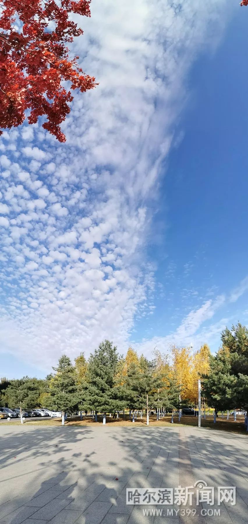 欧美精品AⅤ一区二区三区海报