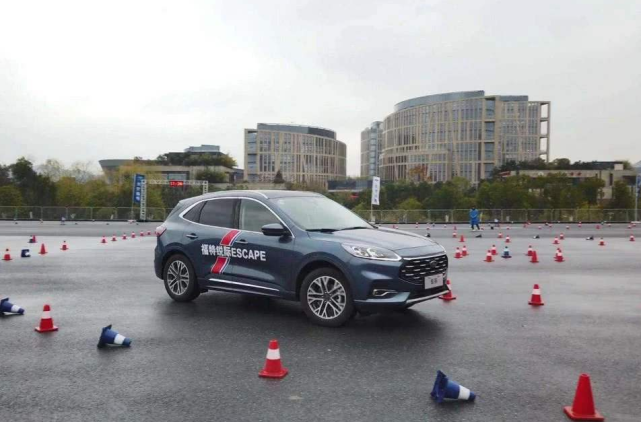 杨晨晨吃瓜网 杨晨指围观娱乐事件）文化海报