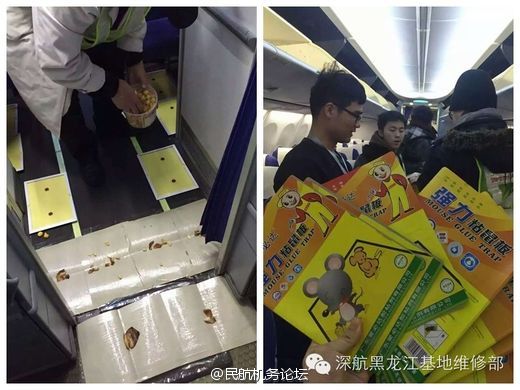 乱 止挑战 我还没有学会回答这个问题