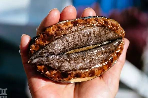 里番本子在线精品区jpd 培养健康的精品网络习惯