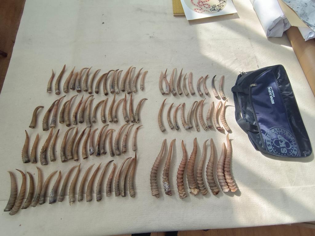 精品自拍网 色情或违法违规内容海报