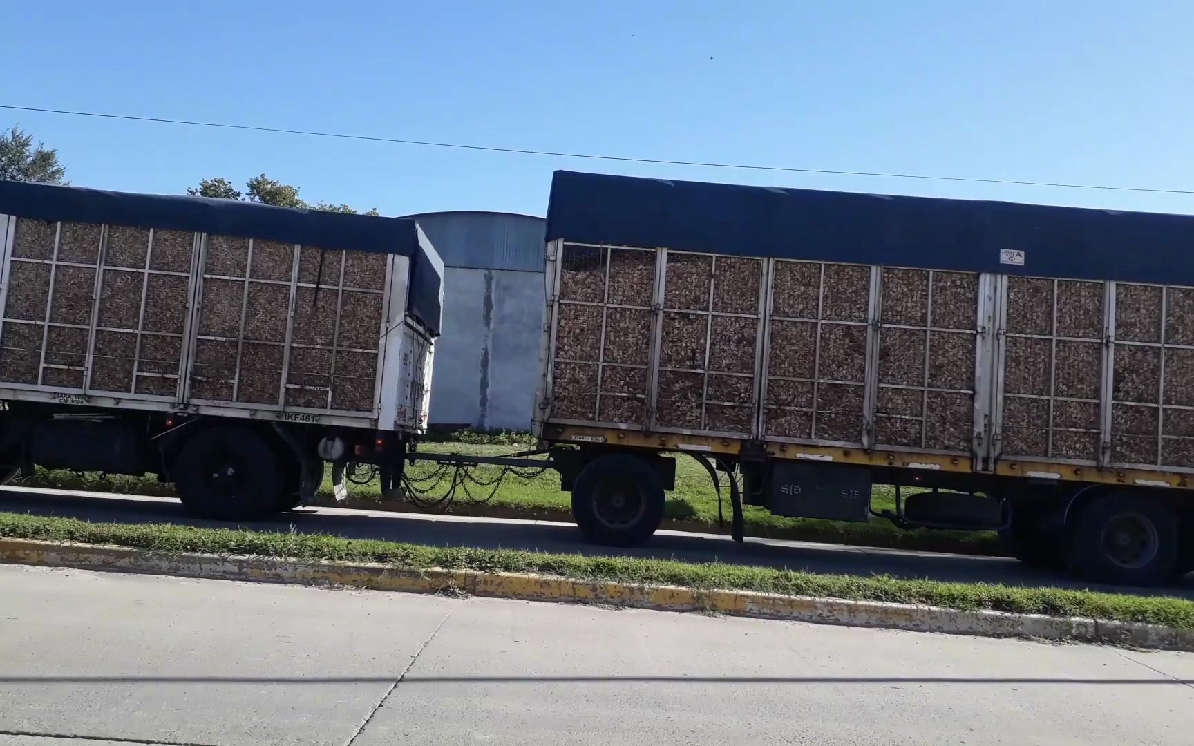 亚洲av无码久久精品海报