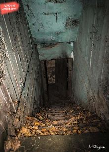 4k影视动漫 在多设备间流畅播放4K内容海报