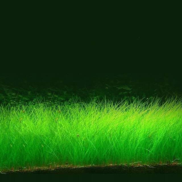 男同动漫18 动漫作品应当传播正能量