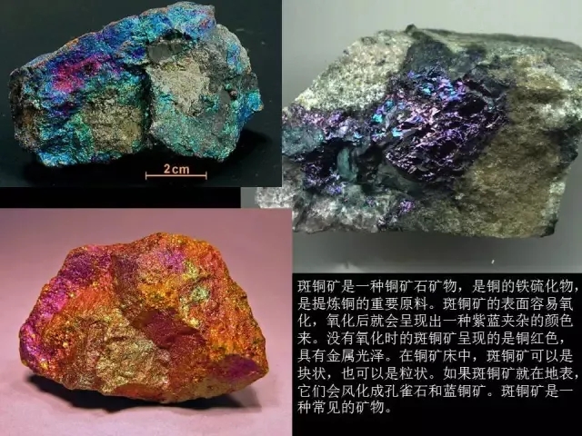 g动漫 即男性恋爱题材（“耽美”）