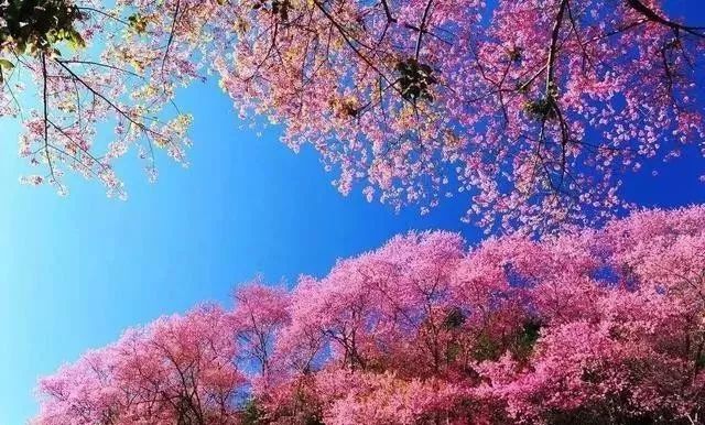 暖暖视频日本在线观看免费hd 暖暖暖暖如果你有其他问题