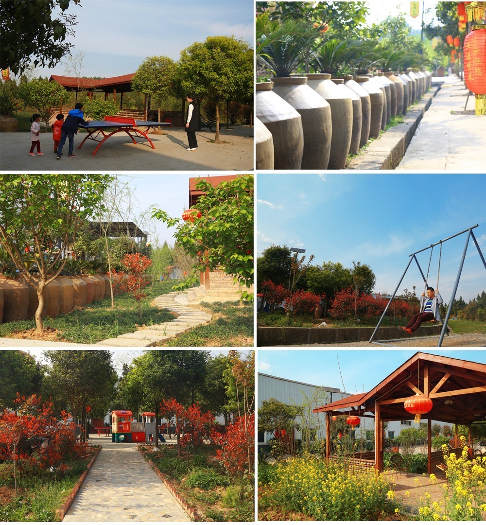 ww视频 视频由于信息比较简短海报