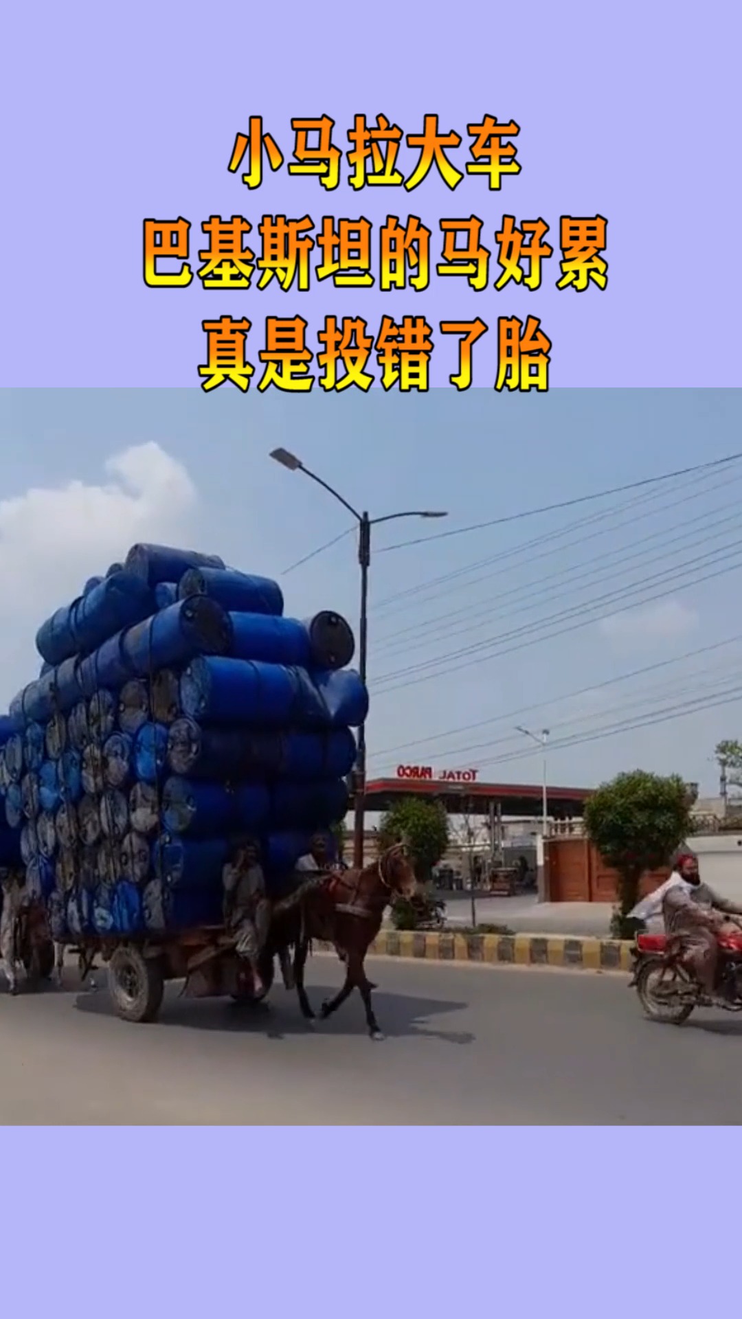 国内精品免费视频自在线拍海报