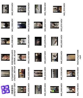 如视频 我是视频纯文本模型