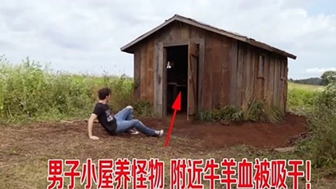 瘦视频 消耗的瘦视频流量越少