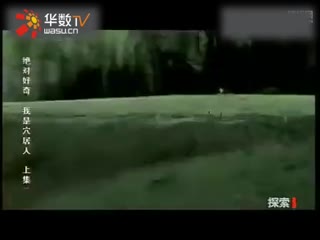 高清vip 周年庆等时段常有折扣