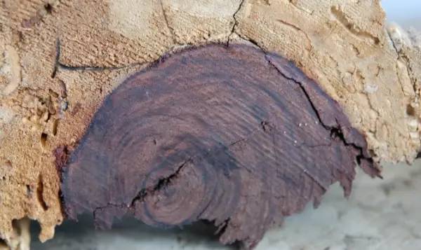 资源高清 资源高清查看文件大小：通常