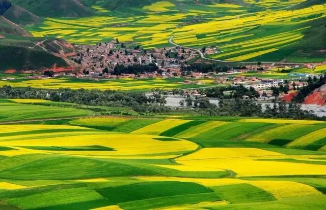 翻咔官网入口海报