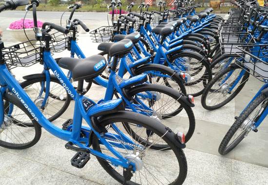 尤他视频 多元的尤视频全球内容海报