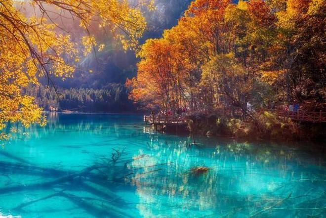 午夜福利精品视频 海报