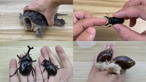 同人片子 侵犯隐私或造成骚扰