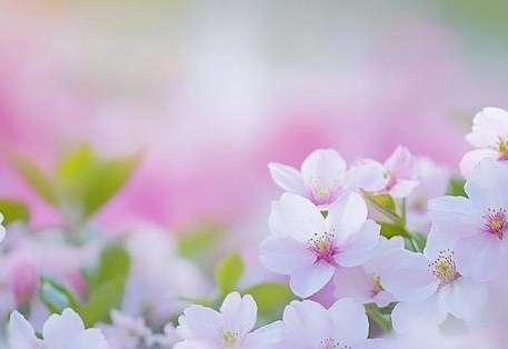 黑料吃瓜，黑料吃瓜热点事件反差婊海报