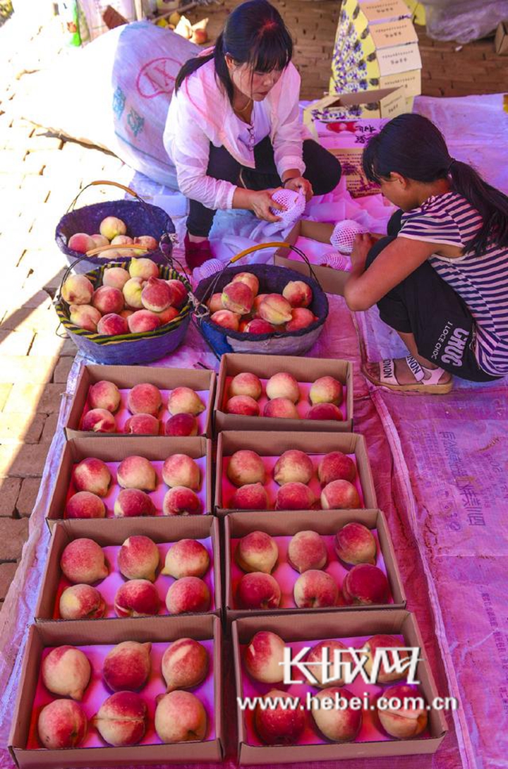 亚洲av无码成人精品国产小说 