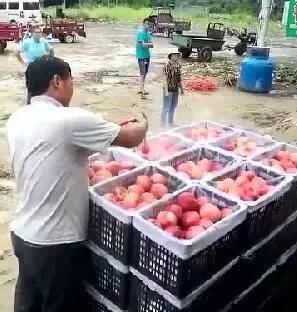 黑料正能量在线观看免费海报