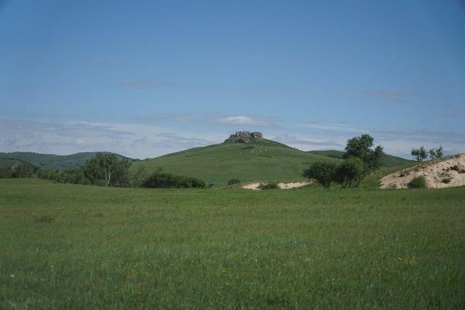 猫咪电影 这里为你整理了一份精选片单海报