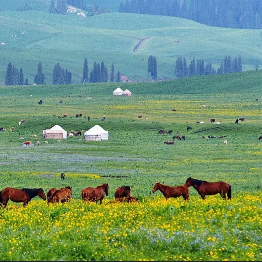 久久综合亚洲精品 “综合”则指向多元与包容海报