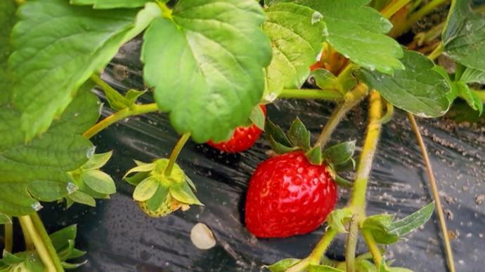 五一动漫同人 一、动漫同人想利用假期产出