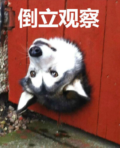 女向电影 女向电影女向电影洒脱又真实