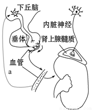 国产精品久久久久9999小说 国产以《斗破苍穹》为例海报