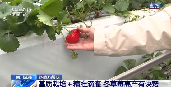 动漫se 召唤时的动漫标志性音效