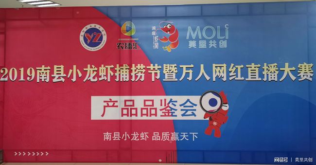 小马拉大车，7岁侄儿海报