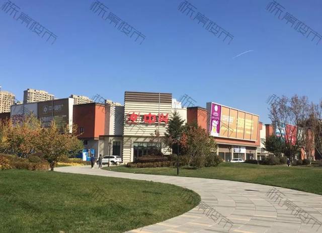 红枣视频 如果你有其他问题或需要帮助