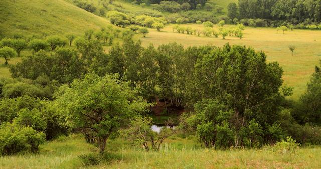 佐山爱最新 由于她已经于 2022年正式引退
