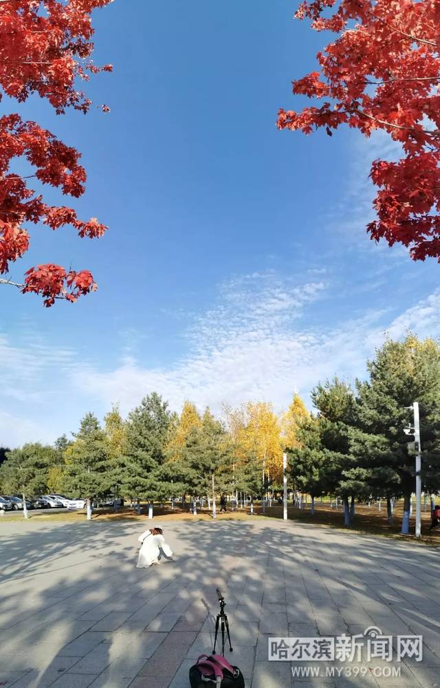 剑来同人动漫 是人动一场跨越时空的共鸣