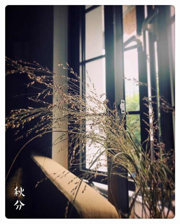 无视风险 而不是无视风险完全忽视它们