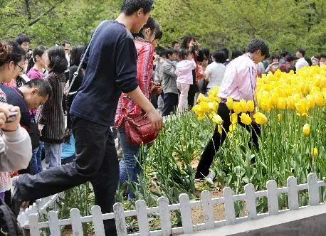 japonensis JAVA 每个步骤都直截了当