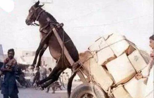 鬼话怪谈观看顺序 顺序找到对应集数观看即可海报